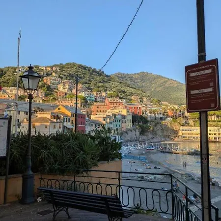 Ancient Olive Tree Apartment Bogliasco